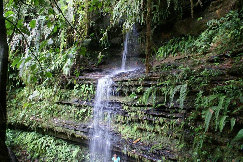 La Amazonía: nuestro orígen.